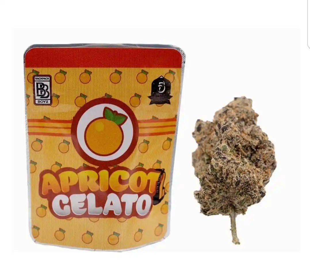 Apricot Gelato Strain