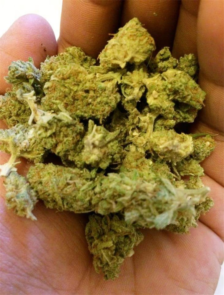 Buy Sour Diesel Online