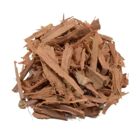 Acacia Confusa Root whole australia