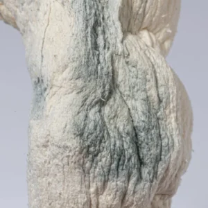 Blue Meanie Mushrooms